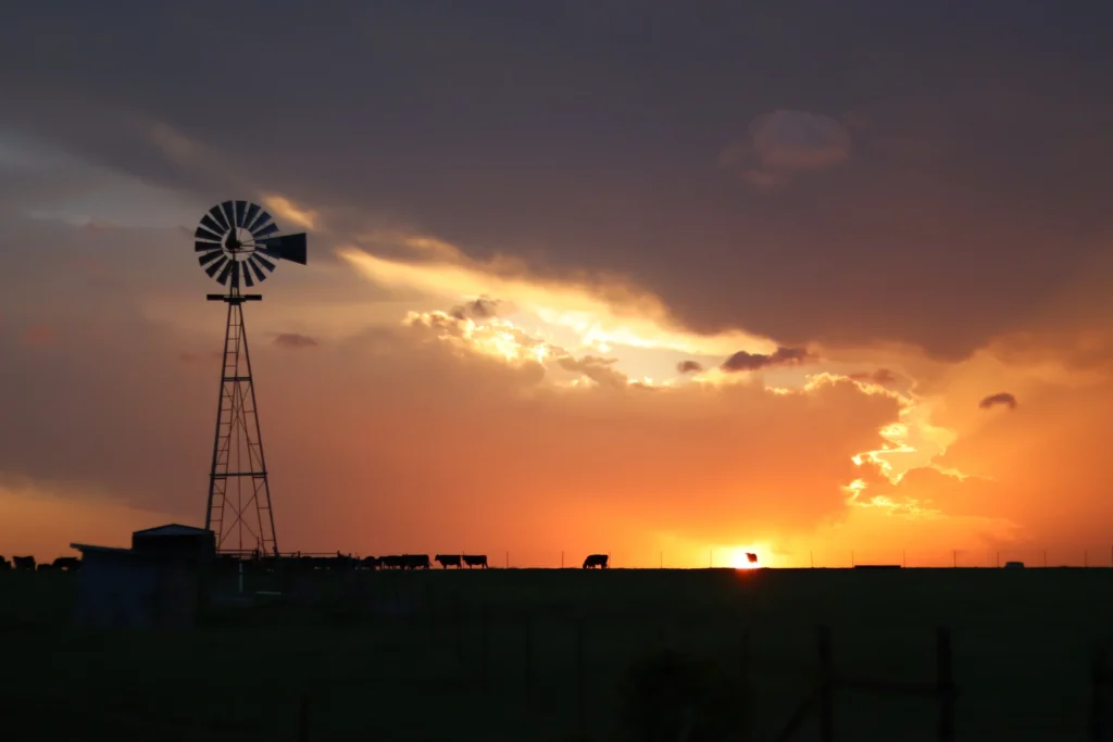 Windmill in the sunset photo for renewable energy service