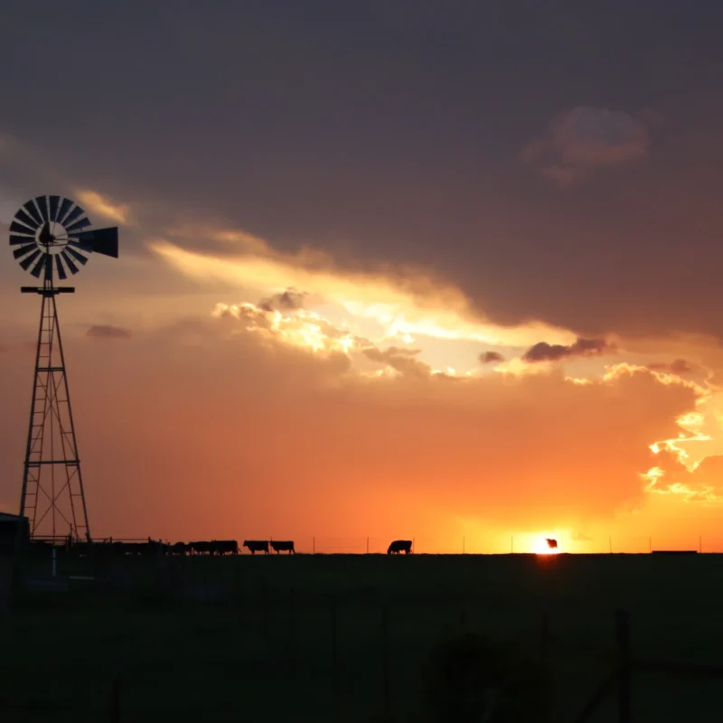 Windmill in the sunset photo for renewable energy service